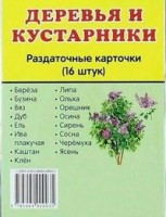 Раздаточные карточки "Деревья и кустарники" - fgospostavki.ru - Рыбинск