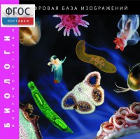 Биология. Микрофотографии. (Цифровая база изображений) - fgospostavki.ru - Рыбинск