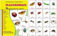 Демонстрационные карточки "Насекомые" - fgospostavki.ru - Рыбинск