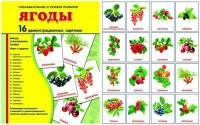 Демонстрационные карточки "Ягоды" - fgospostavki.ru - Рыбинск