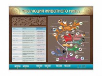 Интерактивный электрифицированный стенд "Эволюция животного мира" - fgospostavki.ru - Рыбинск