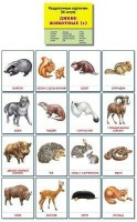 Раздаточные карточки "Дикие животные (1)" - fgospostavki.ru - Рыбинск