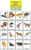 Раздаточные карточки "Дикие животные (2)" - fgospostavki.ru - Рыбинск