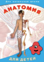 DVD "Анатомия для детей" - fgospostavki.ru - Рыбинск