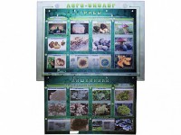 Комбинированный модульный комплекс "Лого-биолог" - fgospostavki.ru - Рыбинск