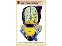Рельефная таблица "Долька печени. Макро-микростроение" (формат А1, матовое ламинирование) - fgospostavki.ru - Рыбинск
