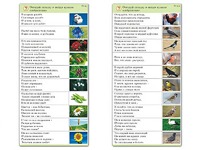 Комплект карточек (10) "Обучающий калейдоскоп. Природа" - fgospostavki.ru - Рыбинск