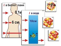 Модель-аппликация "Явление радиоактивности" (ламинированная) - fgospostavki.ru - Рыбинск