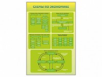 Стенды "Схемы по экономике" - fgospostavki.ru - Рыбинск