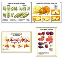 Плакаты ПРОФТЕХ "Ассортимент овощных культур" (12 пл, винил, 70х100) - fgospostavki.ru - Рыбинск