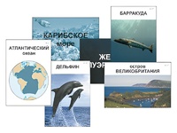 Модель-аппликация "Океаны. Знакомство" (ламинированная) - fgospostavki.ru - Рыбинск
