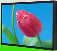 Киоск информационный настенный сенсорный 27" (вариант 1) - fgospostavki.ru - Рыбинск