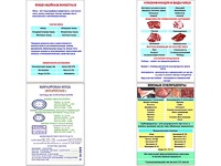 Плакаты ПРОФТЕХ "Классификации и виды мяса" (4 пл, винил, 70х100) - fgospostavki.ru - Рыбинск