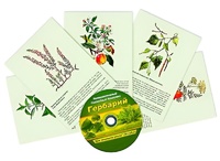Интерактивный наглядный комплекс "Гербарий "Для начальной школы" - fgospostavki.ru - Рыбинск