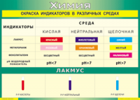 Таблица "Окраска индикаторов в различных средах" (100х140 сантиметров, винил) - fgospostavki.ru - Рыбинск