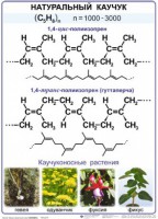 Комплект демонстрационных таблиц по химии "Полимеры" (комплект 12 таблиц) - fgospostavki.ru - Рыбинск