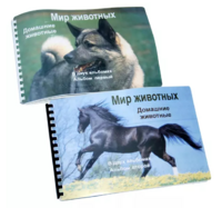 Пособие для слабовидящих - Домашние животные - fgospostavki.ru - Рыбинск