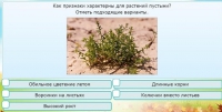 Интерактивные курсы. Окружающий мир 3 класс . Базовый. - fgospostavki.ru - Рыбинск