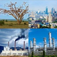 Модель-аппликация Биосфера и человек - fgospostavki.ru - Рыбинск