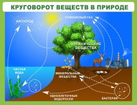 Стенд "Круговорот веществ" - fgospostavki.ru - Рыбинск