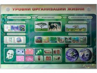 Электрифицированный стенд "Уровни организации жизни" - fgospostavki.ru - Рыбинск