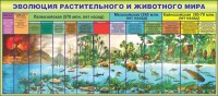 Стенд "Эволюция растительного и животного мира" - fgospostavki.ru - Рыбинск