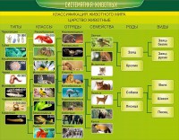 Стенд "Систематика животных" - fgospostavki.ru - Рыбинск