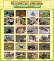 Стенд "Красная книга - млекопитающие" - fgospostavki.ru - Рыбинск