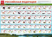 Стенд "Красная книга РФ" - fgospostavki.ru - Рыбинск