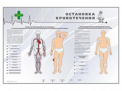 Электрифицированный стенд "Остановка кровотечения" - fgospostavki.ru - Рыбинск