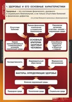 Комплект таблиц. ОБЖ. Здоровый образ жизни. - fgospostavki.ru - Рыбинск