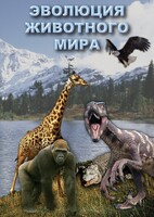 DVD "Эволюция животного мира" - fgospostavki.ru - Рыбинск