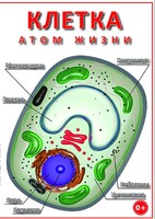 DVD "Клетка - "атом жизни" - fgospostavki.ru - Рыбинск