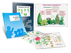 Комплект кодотранспарантов "Культурные растения" - fgospostavki.ru - Рыбинск