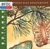 Ботаника. Микрофотографии. (Цифровая база изображений) - fgospostavki.ru - Рыбинск