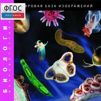 Биология. Микрофотографии. (Цифровая база изображений) - fgospostavki.ru - Рыбинск