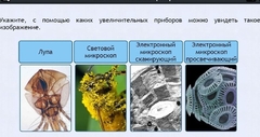 Интерактивные курсы. Биология 5 класс. Расширенный - fgospostavki.ru - Рыбинск