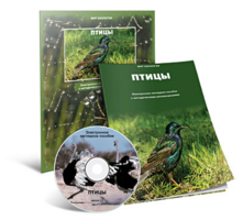 Электронное наглядное пособие «Птицы» - fgospostavki.ru - Рыбинск
