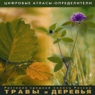 Растения средней полосы России "Травы и Деревья". (Цифровые атласы-определители) - fgospostavki.ru - Рыбинск