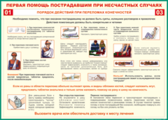 Таблица "Порядок действий при переломах конечностей" (100х140 сантиметров, винил) - fgospostavki.ru - Рыбинск