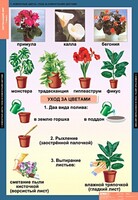 Комплект таблиц. Окружающий мир 1 класс. - fgospostavki.ru - Рыбинск