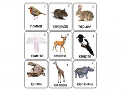 Набор магнитных карточек по музыке "Животные" (9 штук) - fgospostavki.ru - Рыбинск