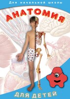 DVD "Анатомия для детей" - fgospostavki.ru - Рыбинск