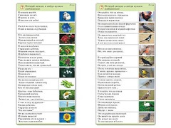 Комплект карточек (10) "Обучающий калейдоскоп. Природа" - fgospostavki.ru - Рыбинск