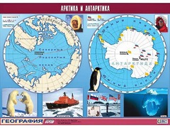 Таблица демонстрационная "Арктика и Антарктика" (винил 100*140) - fgospostavki.ru - Рыбинск