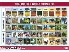 Таблица демонстрационная "Почвы, растения и животные природных зон" (винил 70*100) - fgospostavki.ru - Рыбинск