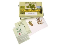 Гербарий "Для начальной школы" (30 видов, с иллюстрациями) - fgospostavki.ru - Рыбинск