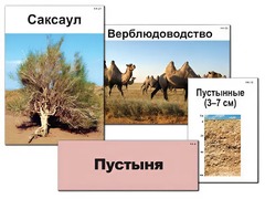 Модель-аппликация "Природные зоны России" (ламинированная) - fgospostavki.ru - Рыбинск