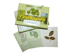Гербарий "Дикорастущие растения" (30 видов, с иллюстрациями) - fgospostavki.ru - Рыбинск