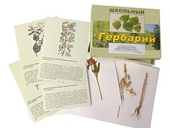 Гербарий "Систематика растений. Семейство Бобовые. Злаки" (раздаточный) - fgospostavki.ru - Рыбинск